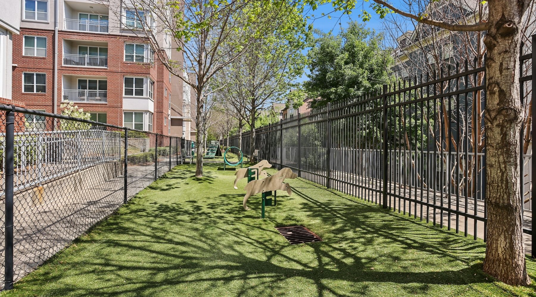 a dog park with a fence and a tree